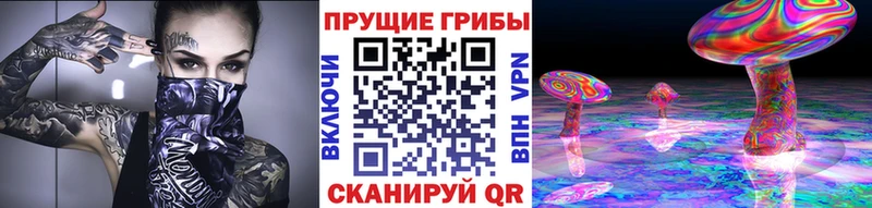 Галлюциногенные грибы Magic Shrooms  купить   Симферополь 